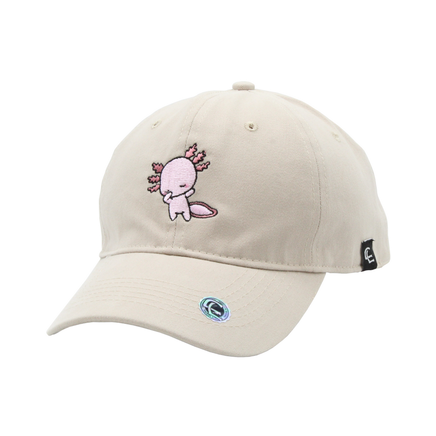 KAWAI DAB AJOLOTE - Cap Land