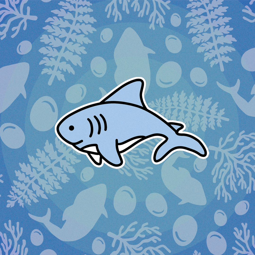 Pack Pegatinas - Cap Land