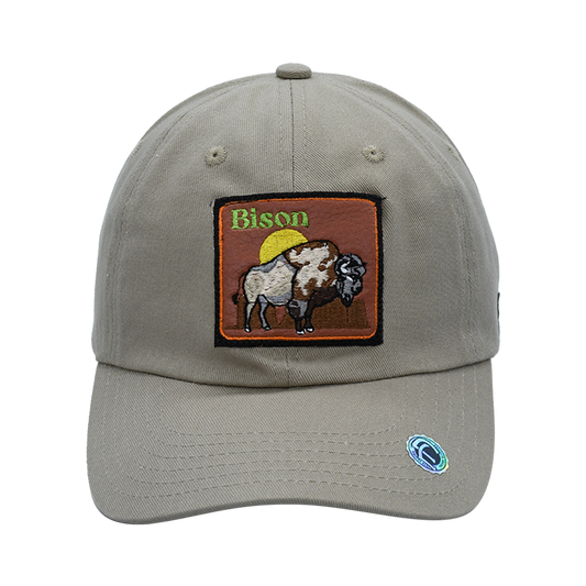 Bison - Cap Land